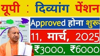 आज, 11, मार्च 2025 दिव्यांग पेंशन |   Approved  होना शुरू | UP January, February March 2025 Pension