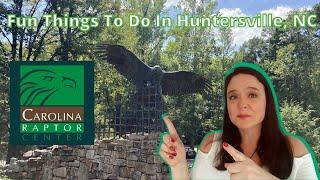 Fun things to do in Huntersville NC Carolina Raptor Center