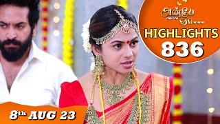 Anbe Vaa Serial Highlights Ep-836 | 8th Aug  2023 | Virat | Delna Davis | Saregama TV Shows Tamil