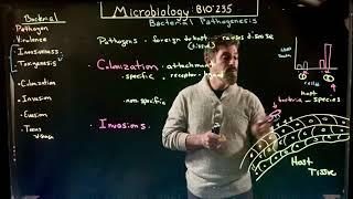 Bacterial Pathogenesis 1