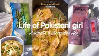 Day in my life | Aesthetic vlog Pakistani| life of introvert girl | productive and chill vlog