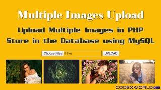 Upload Multiple Images and Store in Database using PHP and MySQL