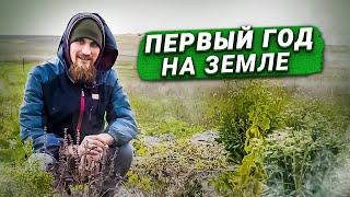 Что можно сделать в первый год в родовом поместье?