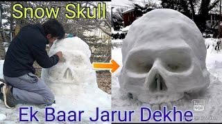 Snow Skull  Snow Art