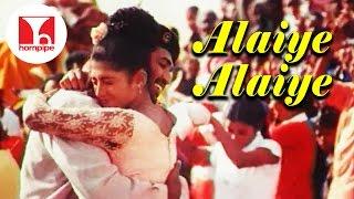 அலையே அலையே துள்ளல் | Alaiye Alaiye | Iyarkai Movie Super Hit Tamil Songs | Hornpipe Record Label