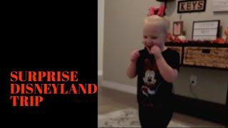 DISNEYLAND SURPRISE #surprise #firstdisneylandtrip #travelvlog