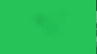 Muzzle Flash HD (green screen)