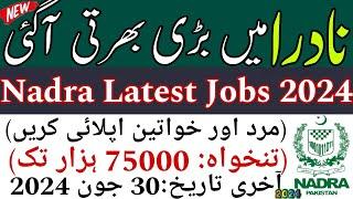 NADRA Latest Jobs 2024 - Apply Online Now! today latest