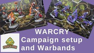 WarCry Solo Campaign - the setup and how to