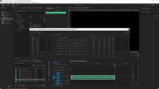 how to add reverb and echo to audio in premierepro