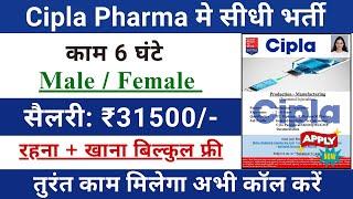 Cipla pharma Recruitment 2024 | Cipla pharma job vacancy 2024 | Pharma job vacancy 2024 