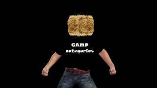 GMP Detox GAMP categories