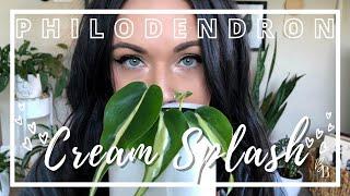 Etsy Plant Purchase GONE WRONG | Philodendron Cream Splash