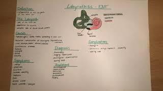 Labyrinthitis - clinics, causes, symptoms, diagnosis, complications, treatment