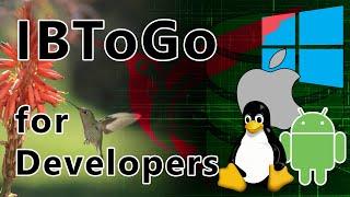InterBase ToGo for Developers