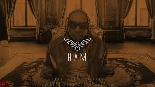 [FREE] DA Doman, Tyga Type Beat - "HAM"  (Prod. Chris Falcone) Flute Club Type Beat 2023 2024