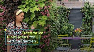 10 Best Decorative Plants ideas for vertical garden