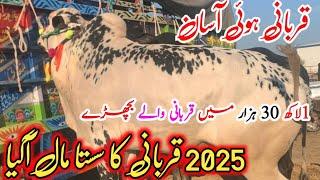 Sasta mall mandra mandi latest update ll part 3 ll domail mandi ll jamil tv ll