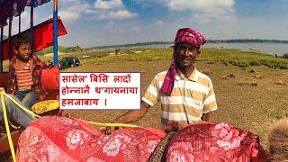 सासेल’ बिसि लादों होन्नानै थ’गायनाया हमजाबाय ।| Dhir Bilw Kokrajhar || Boroni Alfred