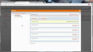 Bags Magento Go Theme Setup