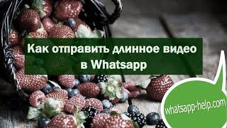 Как отправить длинное видео в Whatsapp