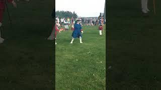 Canon of the reenactors on the plains