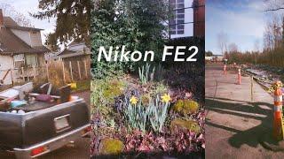 The Nikon FE2 Experience