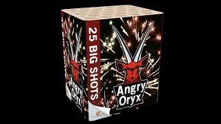 04169 Angry Oryx - Lesli Fireworks / Feuerwerk - Silvesterzauber