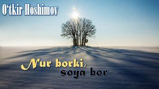 O‘tkir Hoshimov. "Nur borki, soya bor" romani. 1-qism