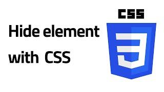 Hide an element in WordPress with CSS