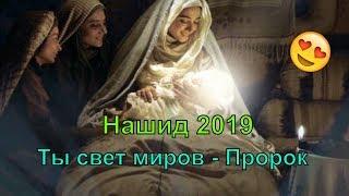 Вдохновляющий Нашид 2019 ️️️ Ты свет миров - Пророк Гр.Кавсар