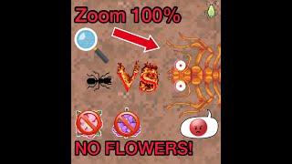 Fire Ants Nest NO FLOWERS & 100% ZOOM challenge! | Pocket Ants |