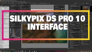 How I Setup SilkyPix Developer Studio Pro 10 Interface? [Quick Tips Version 2021]