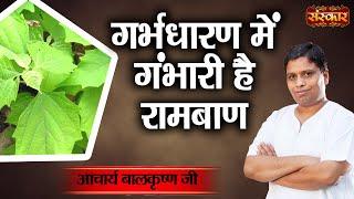 गर्भधारण में गंभारी है रामबाण ! Acharya Balkrishna Ji Ke Nuskhe | Sanskar TV