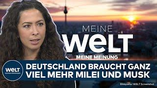 MEINE MEINUNG: "Zurückfinden was Liberalismus ist und das ist in erster Linie Staatskritik" | WELT