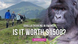 Gorilla Trekking in Rwanda's  Volcanoes National Park