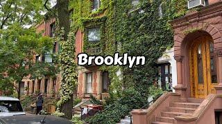 New York Virtual Tour - Brooklyn Front Greene & Clinton Hills NY