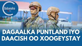 Dagaal khasaare badan oo dhex-maray ciidamada Puntland iyo Daacish | Qubanaha VOA