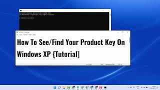 How To Find Your Product Key On Windows XP {Tutorial