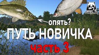  Путь новичка (донка), часть 3 | Русская Рыбалка 4 | РР4