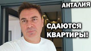 СДАЮТСЯ ДВЕ КВАРТИРЫ! БЕЗ ПОСРЕДНИКОВ в Анталия Турция