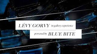 Lévy Gorvy In-gallery Experience | Powered by Blue Bite