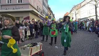 Foaset in Fulda - Rosenmontagszug 2023 - Landesgartenschau