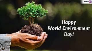 World Environment Day 2019 Wishes: Messages and Quotes to Send Happy Environment Day Greetings