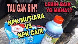 Npk mutiara vs npk cair / lebih baik pilih yang mana??