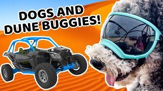 Doggie Roadtrip!! | We Can Give Our Worries to God | Kids' Club Older