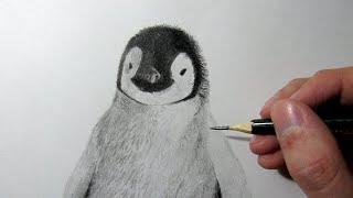 Cómo dibujar un Pingüino