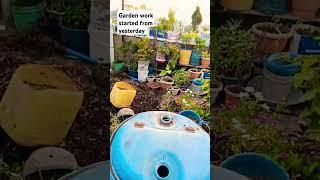 My Terrace Garden Work Started #garden#gardenwork #viralshort#ytshorts #viralvideo