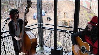 Concerts for the Chimps: Mountain Gypsy Music