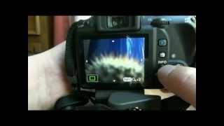 Pentax K-r LiveView manual focusing